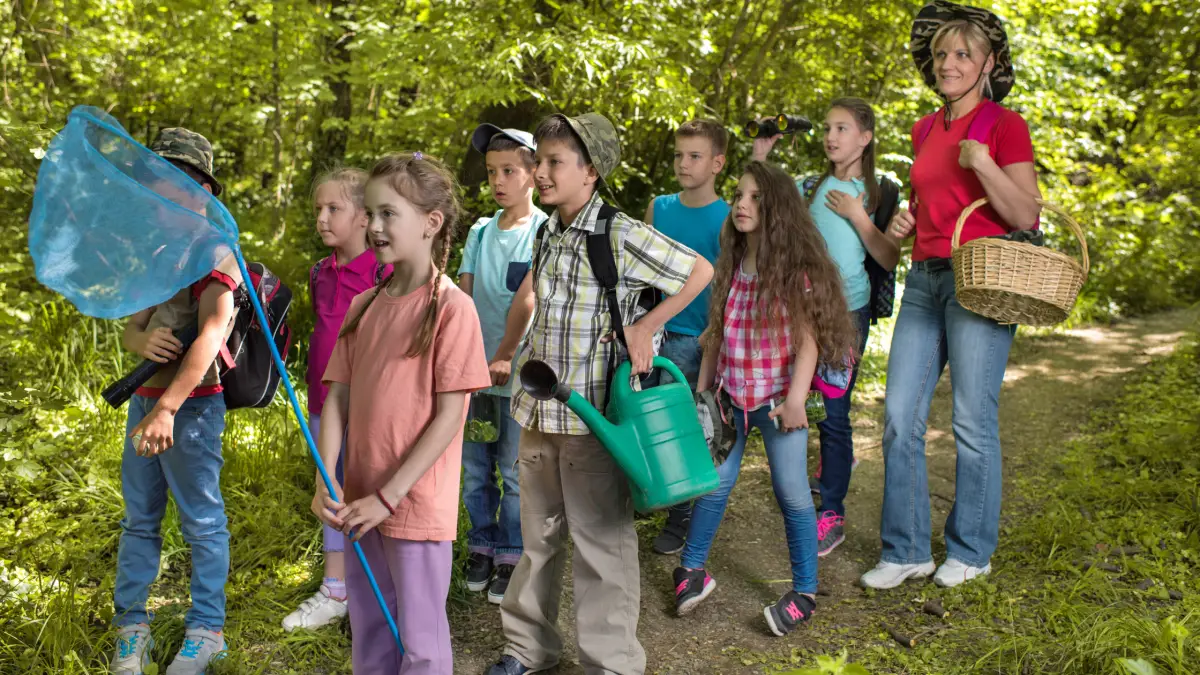 the united states has seen an increasing number of outdoor education programs like forest school