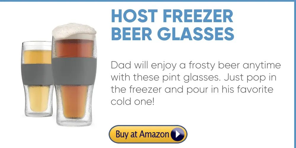 host chillable beer pint glasses father's day gift